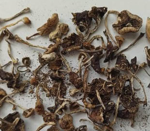 Чоловік через Інтернет збував особливо небезпечні наркотичні і психотропні речовини