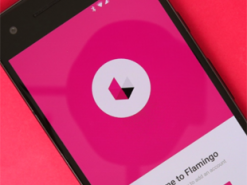 Twitter убил лучший клиент Flamingo