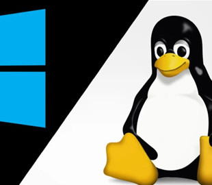 Microsoft у подробицях розповіла користувачам Windows, як встановити Linux