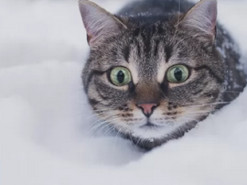 Зима буде дуже непростою: топ-5 речей, які мають бути у кожному будинку