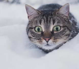 Зима буде дуже непростою: топ-5 речей, які мають бути у кожному будинку