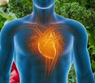 Медики розповіли про симптоми інфаркту, які не пов'язані з болем у грудях