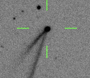 Волонтери допомогли виявити 15 нових астероїдів з незвичайними властивостями