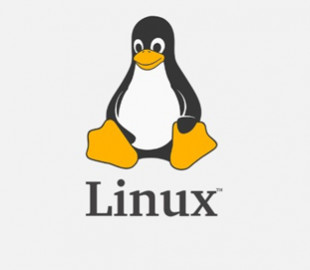 В ядре Linux нашли серьёзную уязвимость