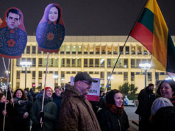 У Литві схвалили "котячу поправку" до резонансного закону щодо керівництва суспільного мовника