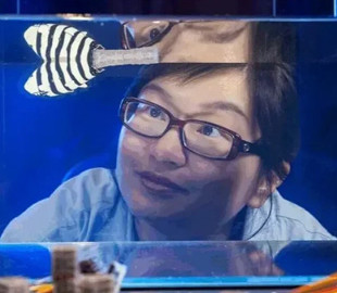 Схожі на Lego. Роботи отримали спеціальні блоки, які змінюють жорсткість і рух