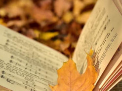 Дні відпочинку. Скільки вихідних матимуть українці в листопаді 2022 року