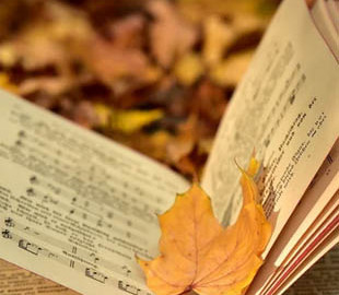 Дні відпочинку. Скільки вихідних матимуть українці в листопаді 2022 року