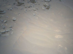 Вертоліт NASA Ingenuity здійснив два польоти поспіль на Марсі