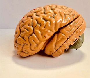 Создан подобный мозгу человека компьютер