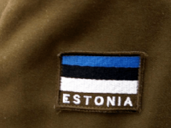 В Міноборони Естонії пропонують взяти кредит на закупівлю боєприпасів