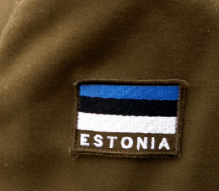 В Міноборони Естонії пропонують взяти кредит на закупівлю боєприпасів