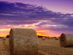 Гороскоп на 11 серпня для всіх знаків зодіаку: день, коли потрібно здійснити "останній ривок"