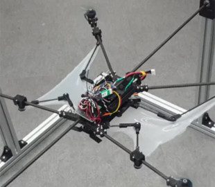 Інженери створили дрон зі складними крилами, як у білки-летяги: чим він стане нагоді ЗСУ