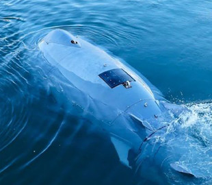 Безпілотники Greyshark для захисту Балтійського моря створили в Німеччині