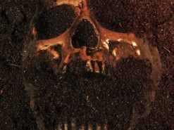 Викриття століття. Креаціоністи стверджують, що знайшли череп Голіафа, — вчені сміються у відповідь