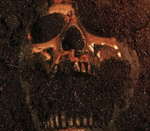 Викриття століття. Креаціоністи стверджують, що знайшли череп Голіафа, — вчені сміються у відповідь