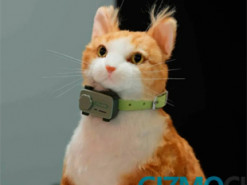 На MWC 2025 представили перший у світі «смартфон» для котів та собак