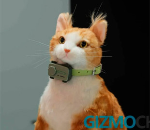 На MWC 2025 представили перший у світі «смартфон» для котів та собак