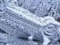 Відео наслідків крижаного дощу в Китаї стало вірусним в мережі