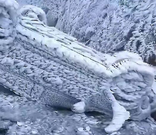 Відео наслідків крижаного дощу в Китаї стало вірусним в мережі