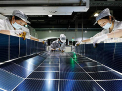 Китайські гіганти сонячної енергетики скорочують десятки тисяч працівників через кризу в галузі