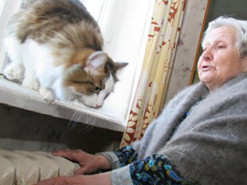 Підготовка до зими: простий спосіб утеплити будинок перед холодами