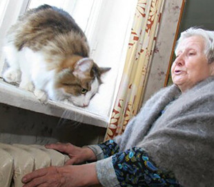 Підготовка до зими: простий спосіб утеплити будинок перед холодами