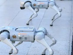 Мексиканська поліція використовуватиме роботів-собак для безпеки на Чемпіонаті світу з футболу 2026