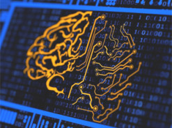 Комп’ютери з людської мозкової тканини стають реальністю