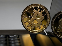 Заволодів чималими коштами з криптогаманців власних друзів: на Житомирщині судитимуть шахрая