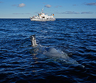 Ізраїльський стартап розробив систему зв'язку для флотів підводних дронів