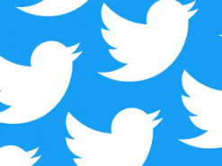 Французского политика обсмеяли за «постановочное фото» покорения горы