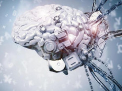 Вчені назвали три варіанти безсмертя для людини