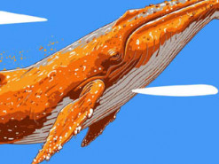 П'ятий за величиною біткоїн-кит переказав $6 млрд у BTC