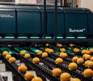 Штучний інтелект Google допомагає сортувати фрукти