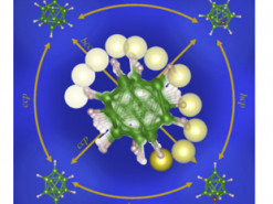 Литиевую батарею заменит натриевая с твёрдым неупорядоченным электролитом