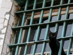 Адміністраторку групи «Вконтакте» за пропаганду комунізму ув’язнили на 5 років