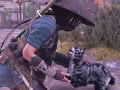 У Assassin’s Creed Shadows виявили острів, населений виключно котиками