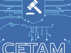 Конфіскованим левам і ведмедям шукають новий дім через СЕТАМ