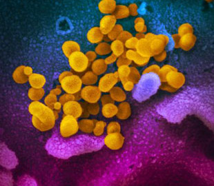 Ученые записали музыку коронавируса