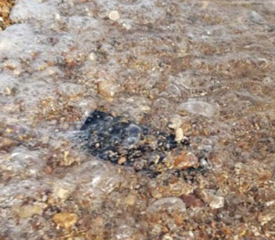 Дійте швидко, тоді буде шанс: як врятувати смартфон, який упав у воду