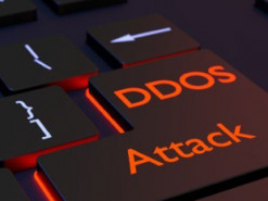 Число DDoS-атак за год выросло на 241%