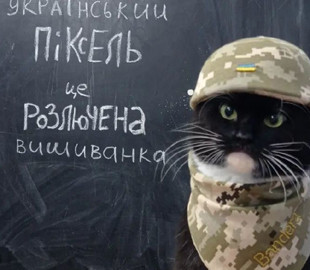 Український піксель - це розлючена вишиванка: новий образ кумедного кота Бандери