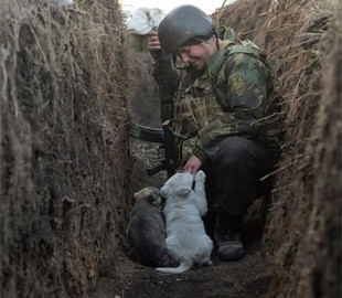 Снимок украинца о войне и любимцах ВСУ стал фото дня в Reuters
