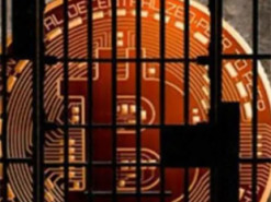 Криптошахраї вкрали майже $10 млрд у 2024 році: найпопулярніші схеми