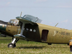 Літаків немає: росіян хочуть посадити на 700 старих "Кукурузників"