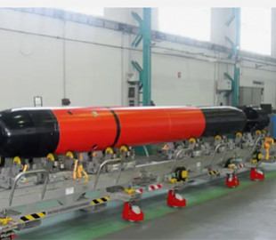 Розкриті технічні характеристики французької важкої підводної торпеди F21 Mk2