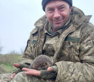 У Міноборони пообіцяли знайти викраденого із херсонського зоопарку єнота