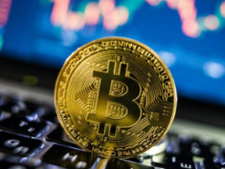 В сети Bitcoin зафиксирован рост количества новых адресов